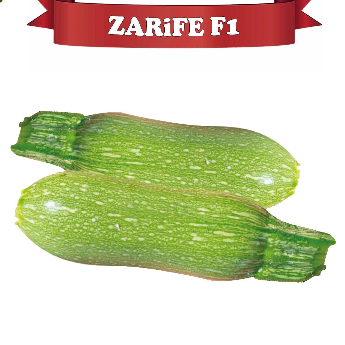 Zarife F1 Mini Kabak Fidesi