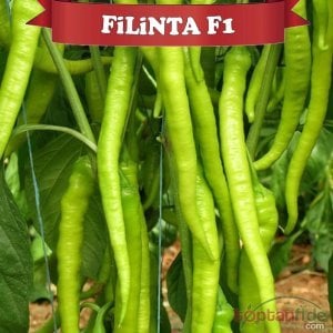 Filinta F1 Biber Fidesi