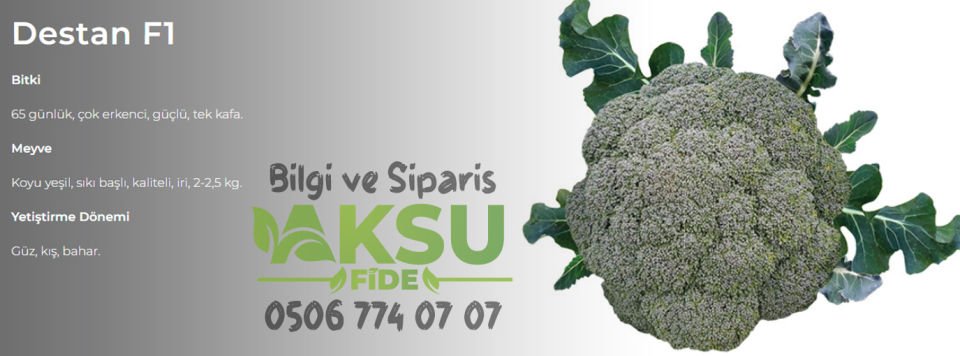 Destan F1 Çok Erkenci Brokoli Fidesi