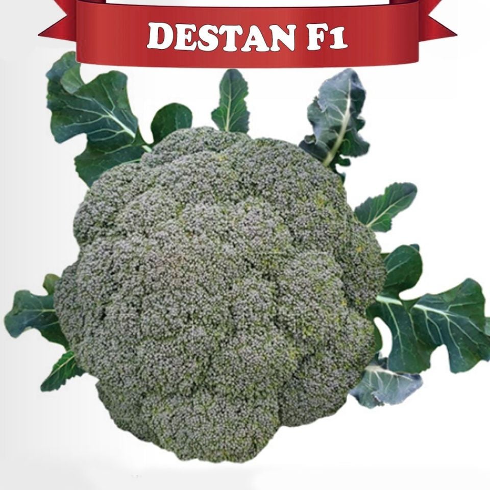 Destan F1 Brokoli Tohumu 2.500 Ad.