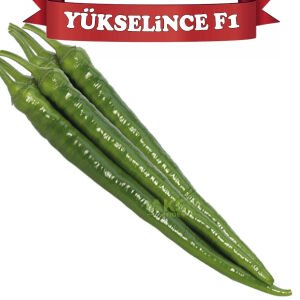 Yükselince F1 Acı Sivri Biber Fidesi