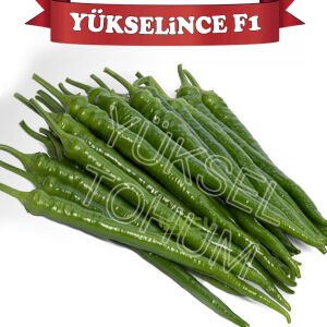 Yükselince F1 Acı Sivri Biber Fidesi