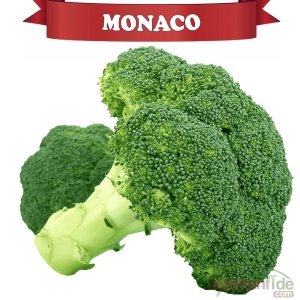Monaco Brokoli Fidesi