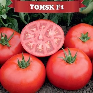 Tomsk F1 Oturak Domates Fidesi