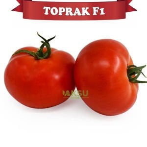 Toprak f1 - Sırık Tane Domates Fidesi