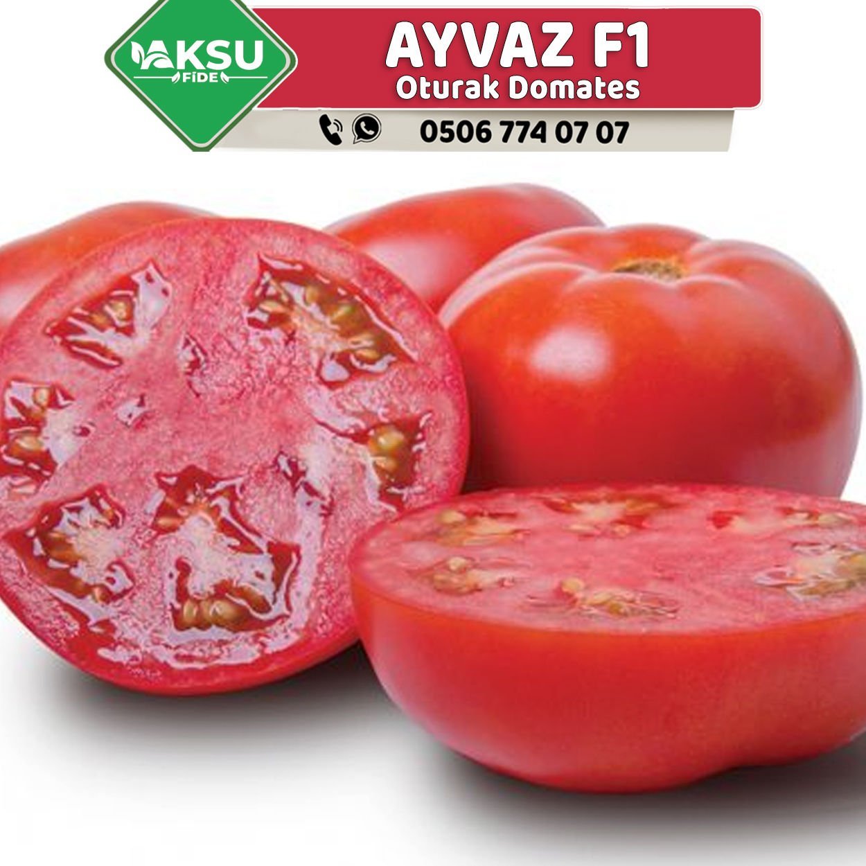 Ayvaz F1 Oturak Domates Fidesi