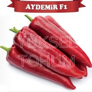 Aydemir F1 Kapya Biber Fidesi