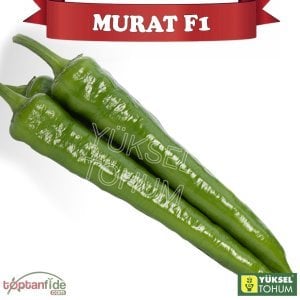 Murat F1 - Acı Sivri Biber Fidesi