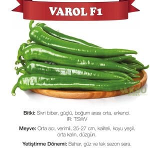 Varol F1 - Acı Sivri Biber Fidesi