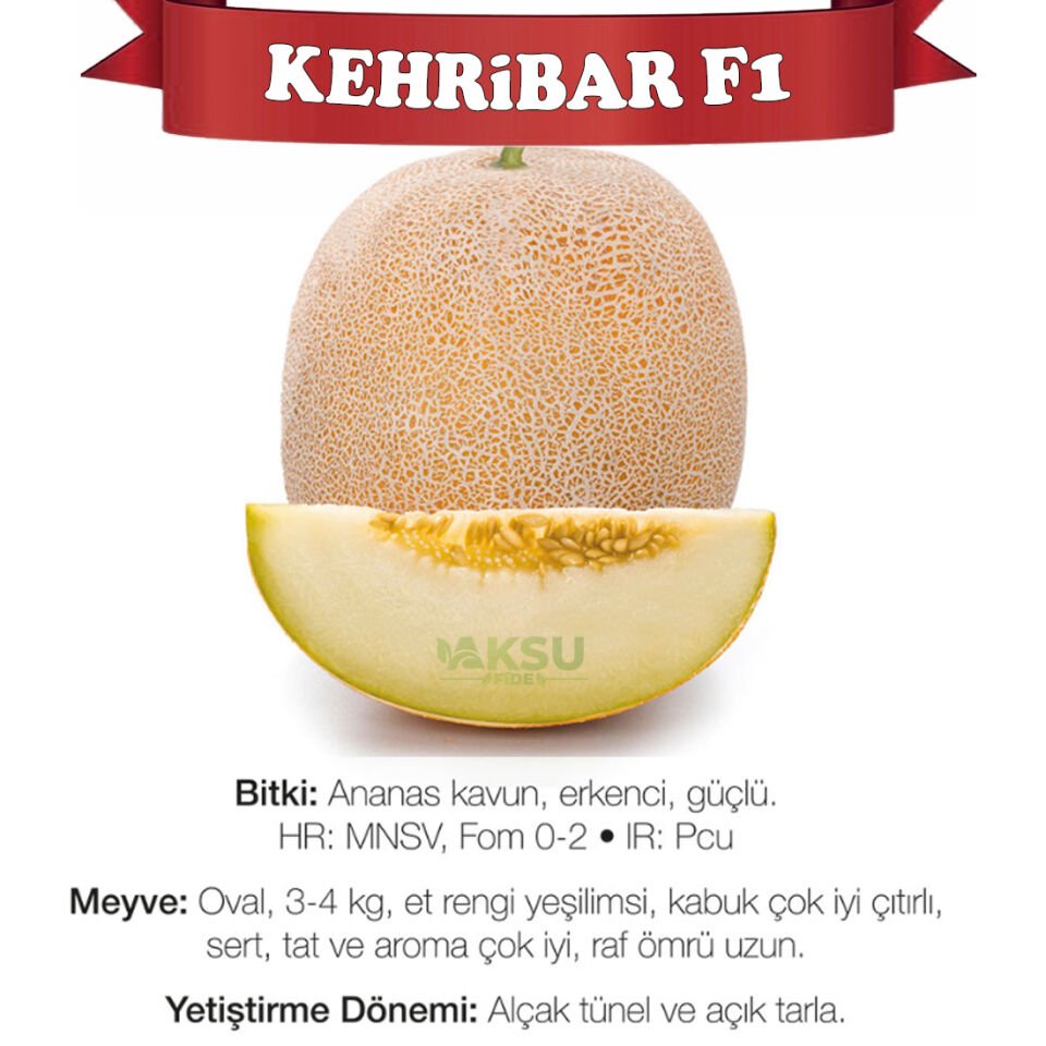 Kehribar F1 Ananas Tipi Kavun Fidesi