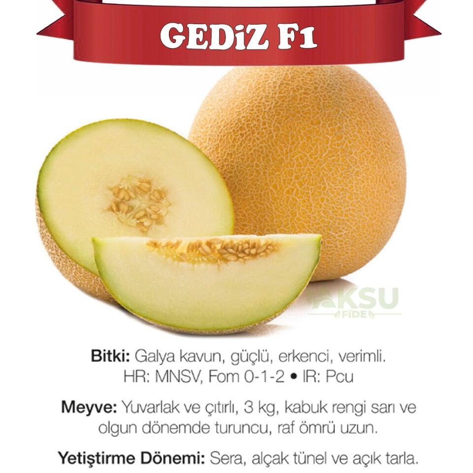 Gediz F1 Galya Kavun Fidesi