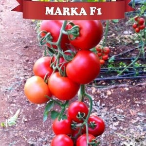Marka F1 Domates Fidesi