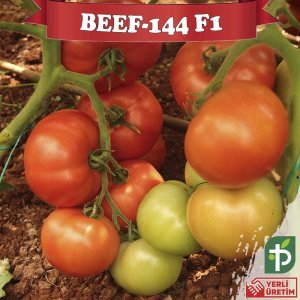 Beef-144 F1 - Beef Domates Fidesi