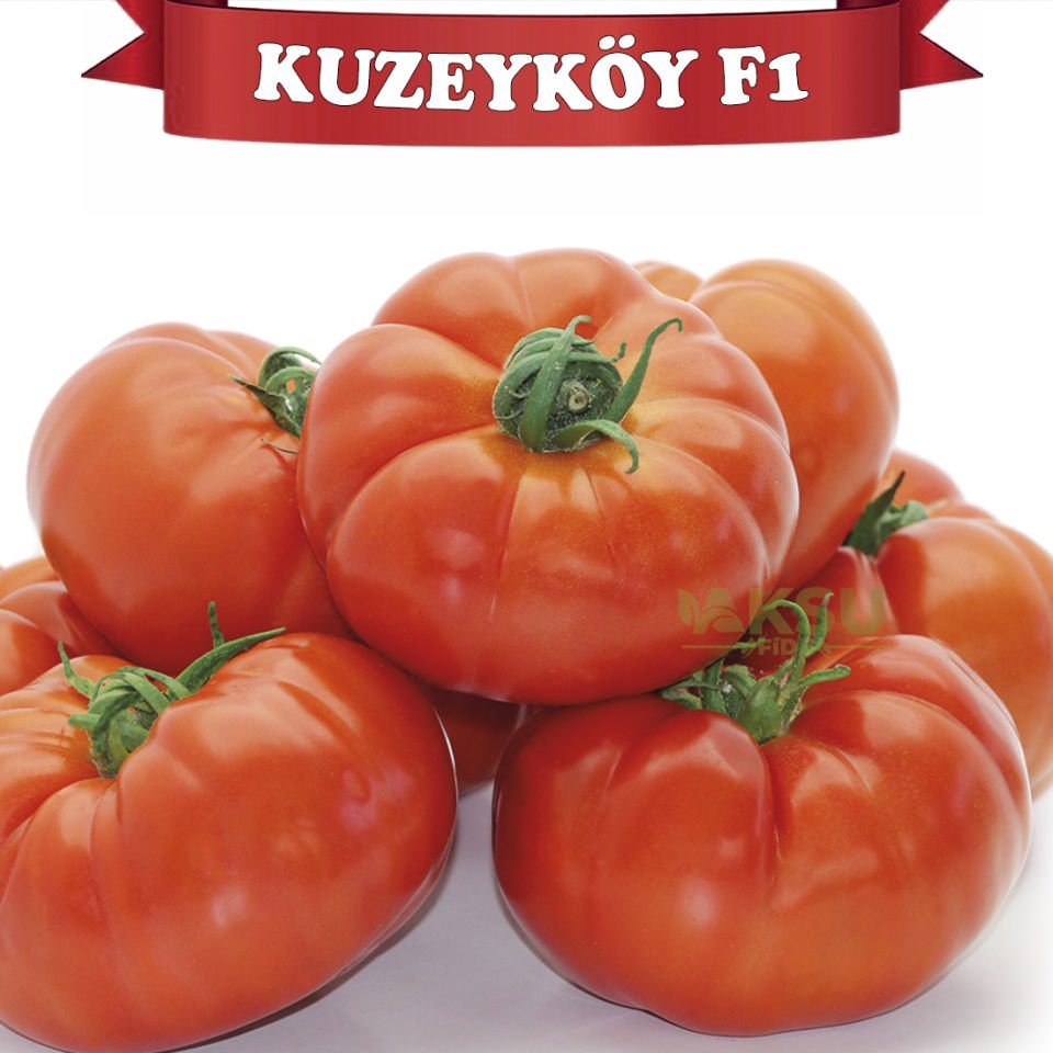 Kuzeyköy F1 - Köy Domatesi Tohumu 1000 Adet