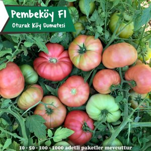 Pembeköy F1 - Pembe Köy Domates Tohumu 1000 Adet