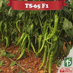 TS-65 F1 Tatlı Sivri Biber Tohumu