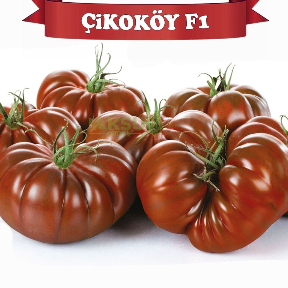 Çikoköy F1 Kahverengi Köy Domatesi Fidesi