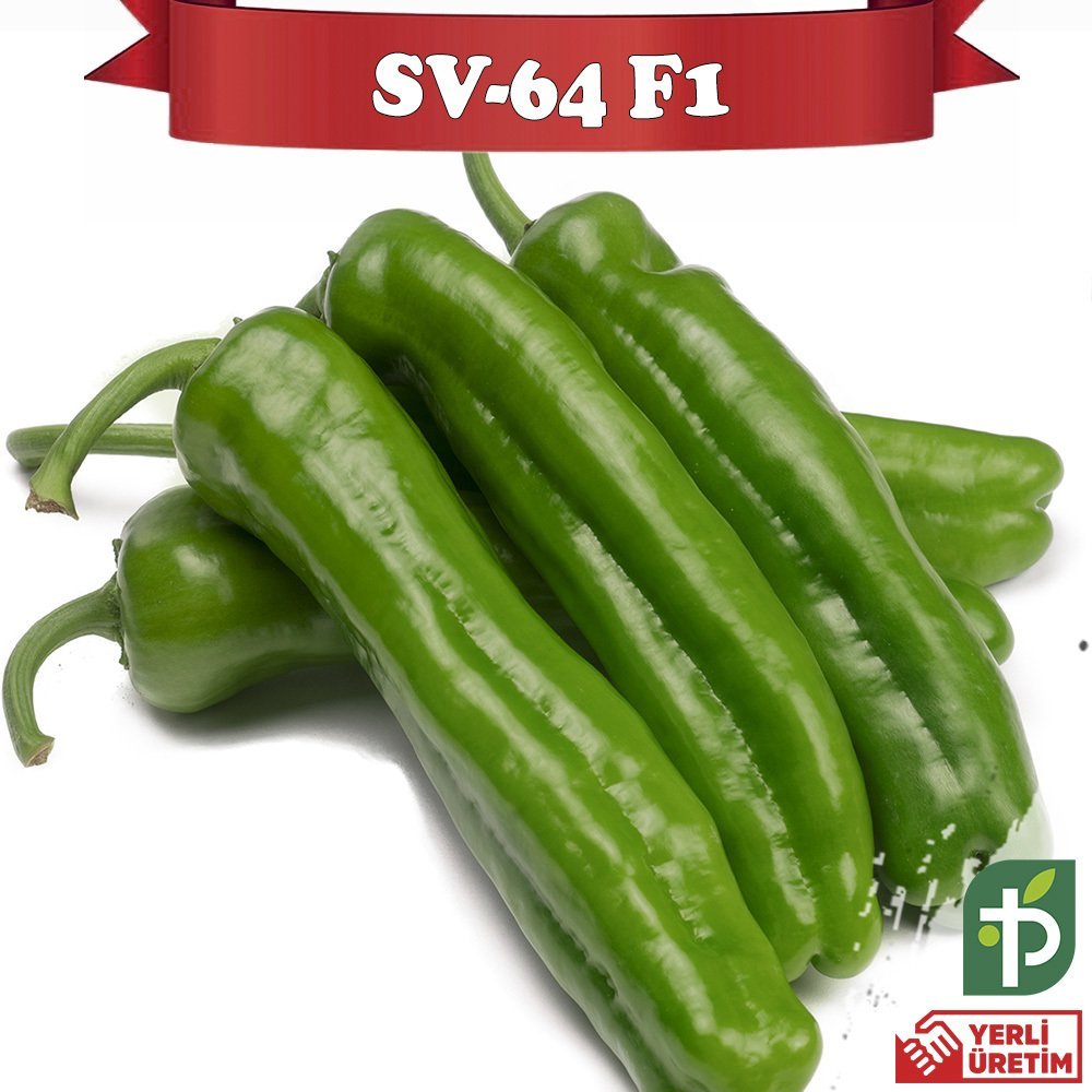 SV-64 F1 - Acı Üçburun Köy Biber Fidesi