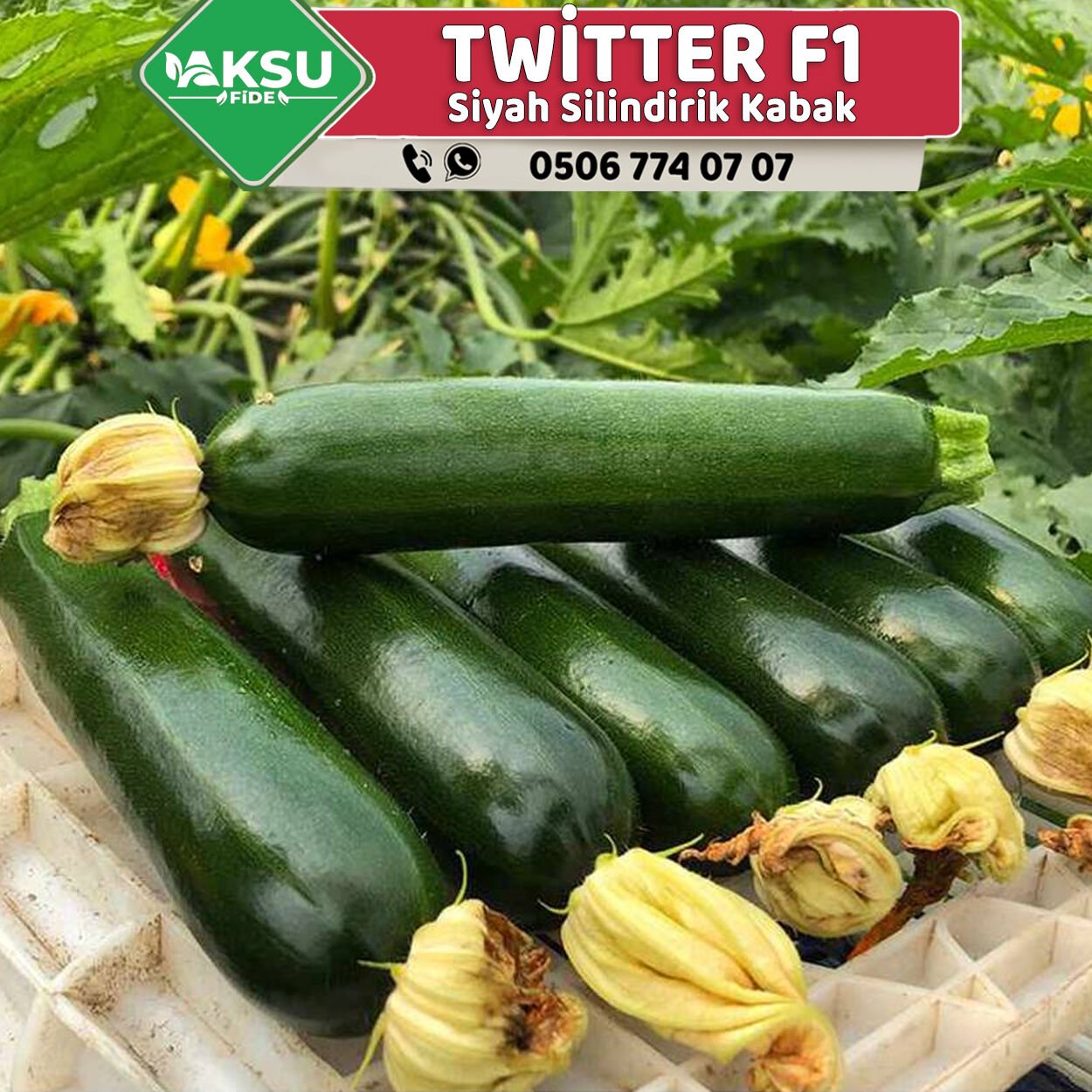 Twitter F1 Siyah Kabak Fidesi