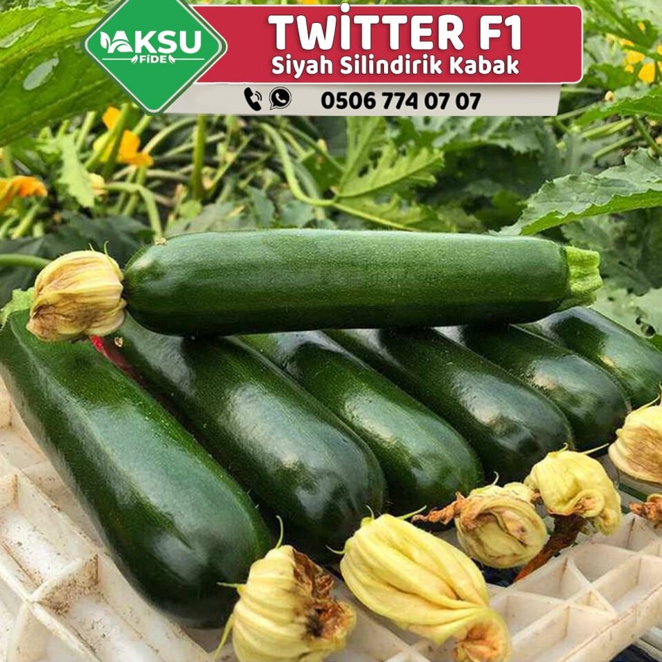 Twitter F1 Siyah Kabak Fidesi