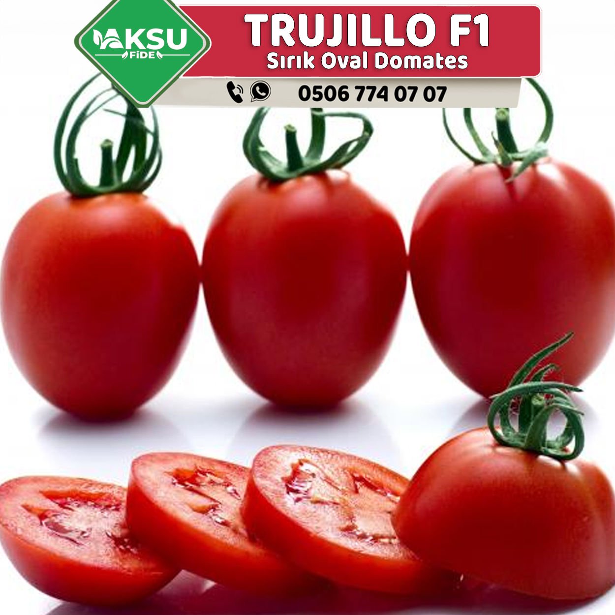 Trujillo F1 Sırık Oval Domates Fidesi