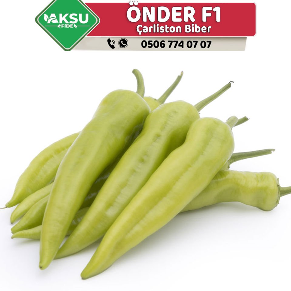 Önder F1 Çarliston Biber Fidesi