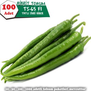 100 Adet Tatlı Sivri Biber Tohumu - TS-65 F1
