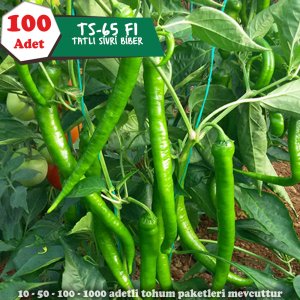 100 Adet Tatlı Sivri Biber Tohumu - TS-65 F1
