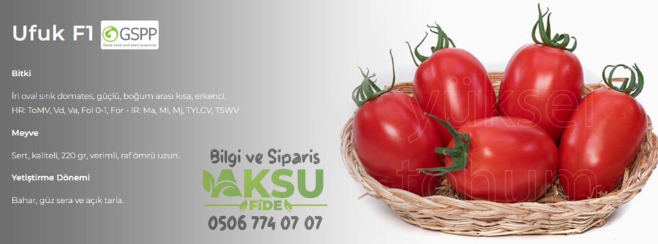 Ufuk F1 Sırık Domates Tohumu
