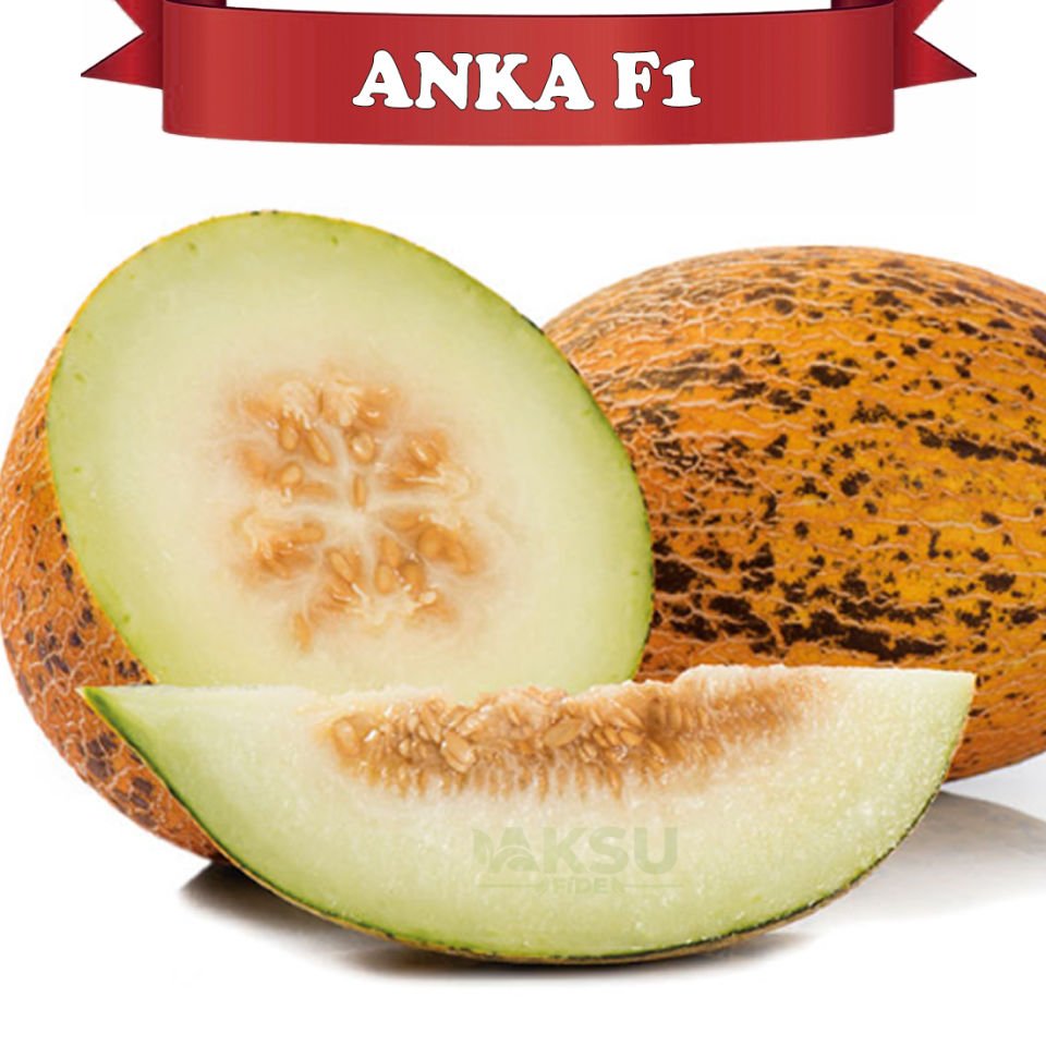 Anka F1 Kırkağaç Kavun Tohumu