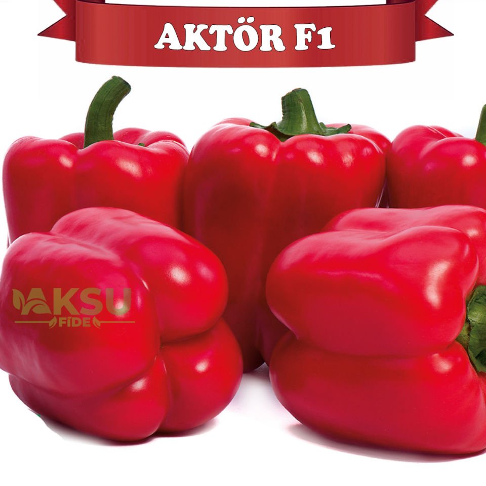 Aktör F1 Kırmızı Dolma Biberi Tohumu