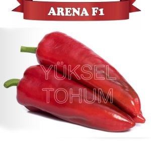 Arena F1 Kapya Biber Tohumu