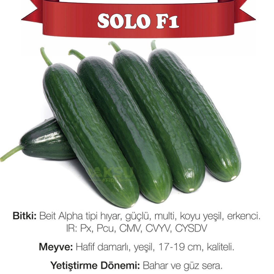 Solo F1 Sırık Multi Hıyar Tohumu