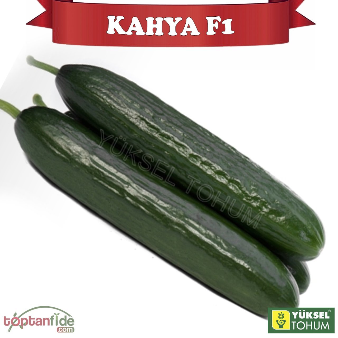 Kahya F1 Sırık Hıyar Tohumu