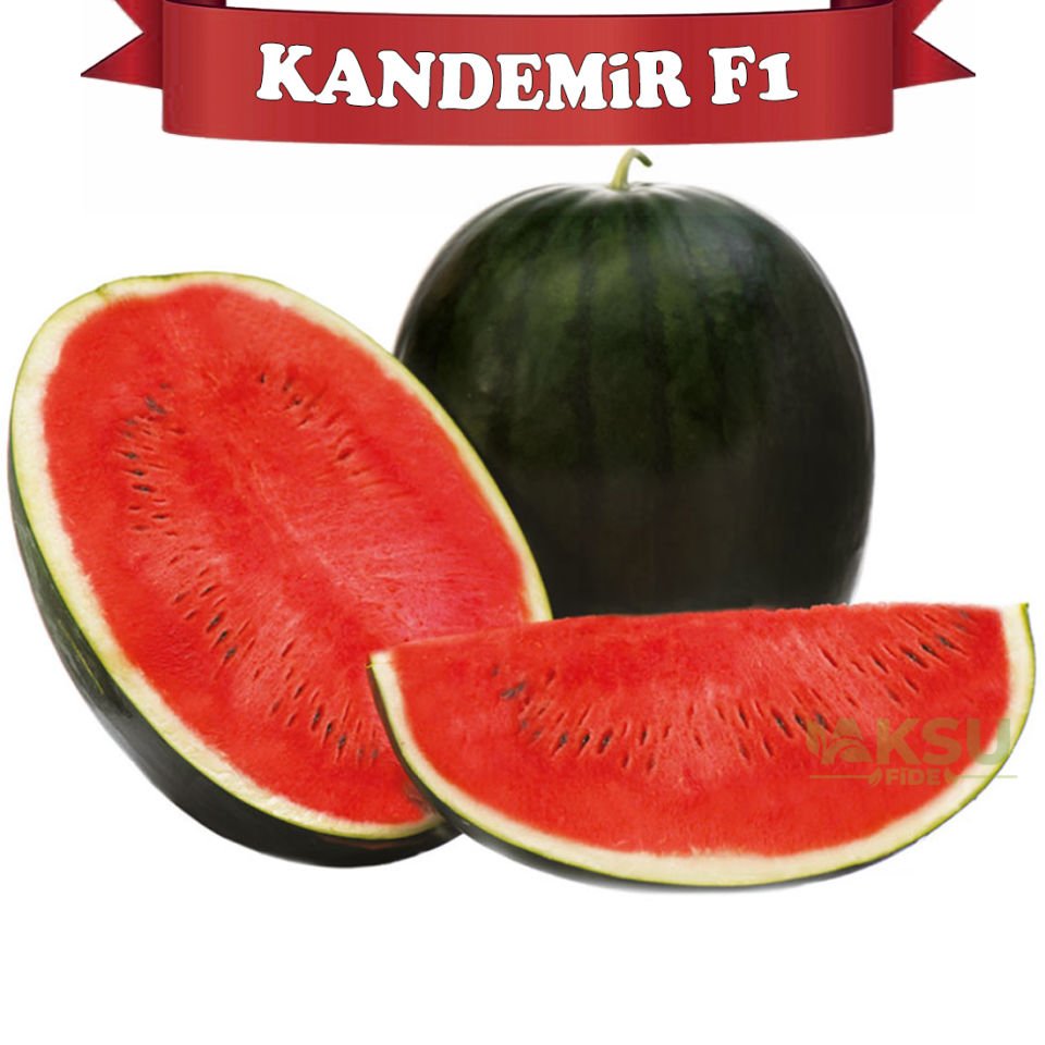 Kandemir F1 Siyah Karpuz Tohumu