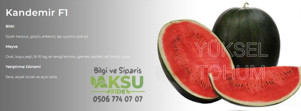 Kandemir F1 Siyah Karpuz Tohumu