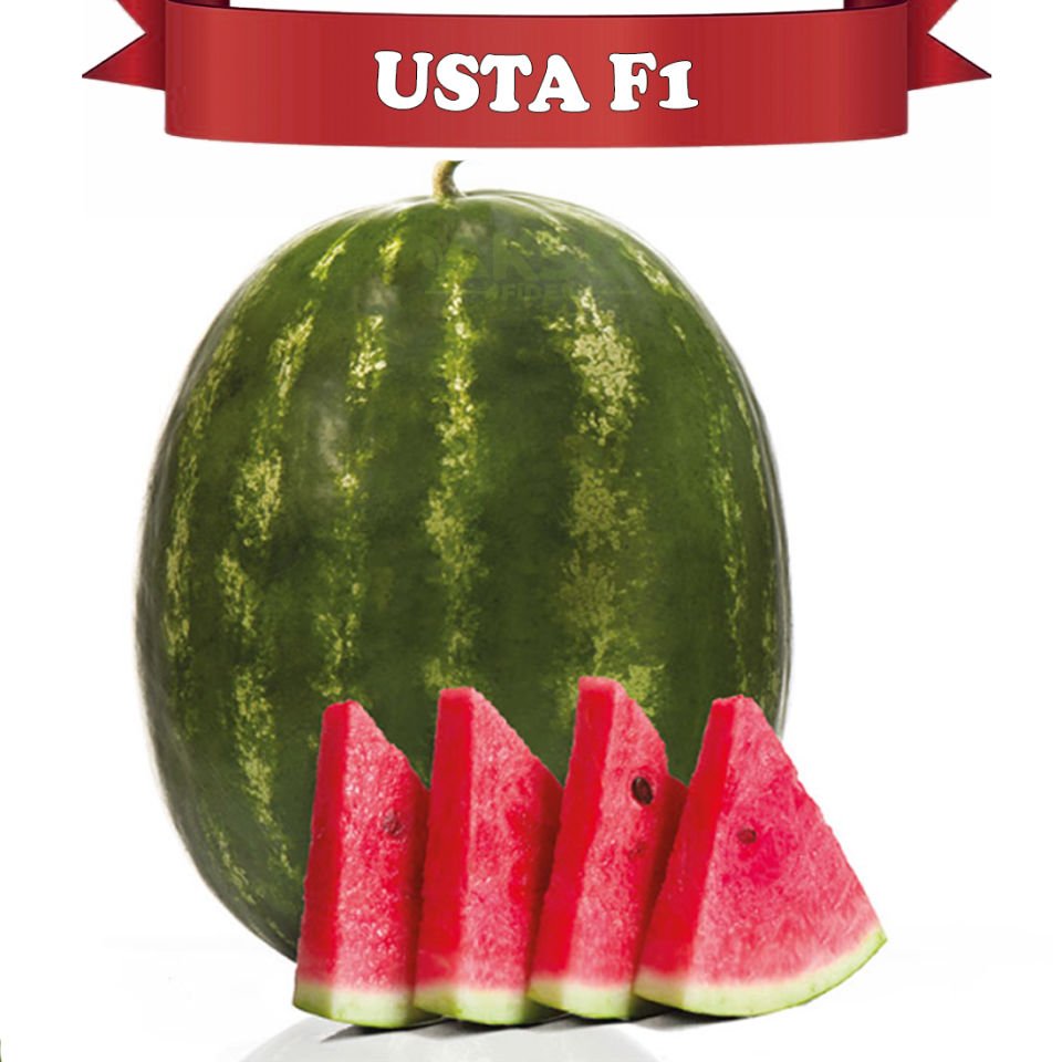 Usta F1 Ala Karpuz Tohumu