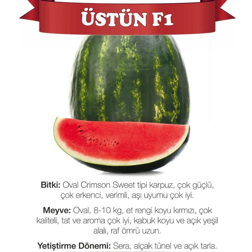 Üstün F1 Karpuz Tohumu