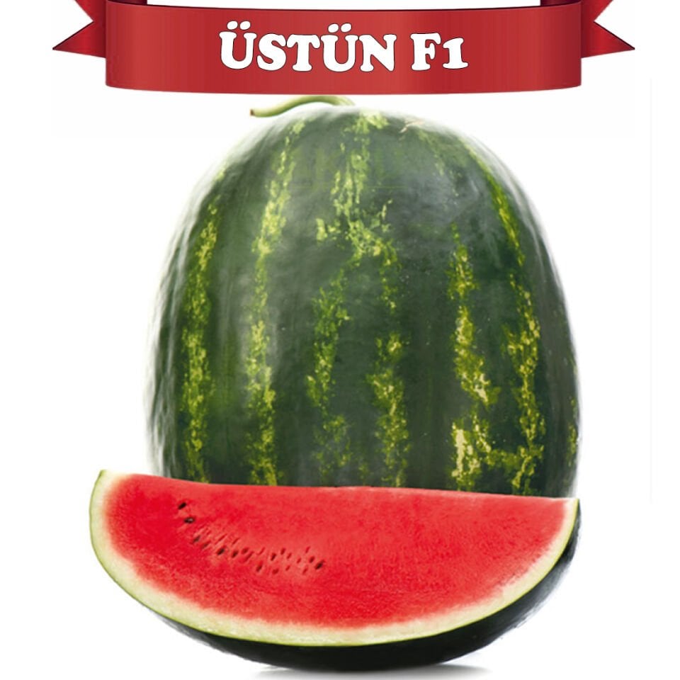 Üstün F1 Karpuz Tohumu