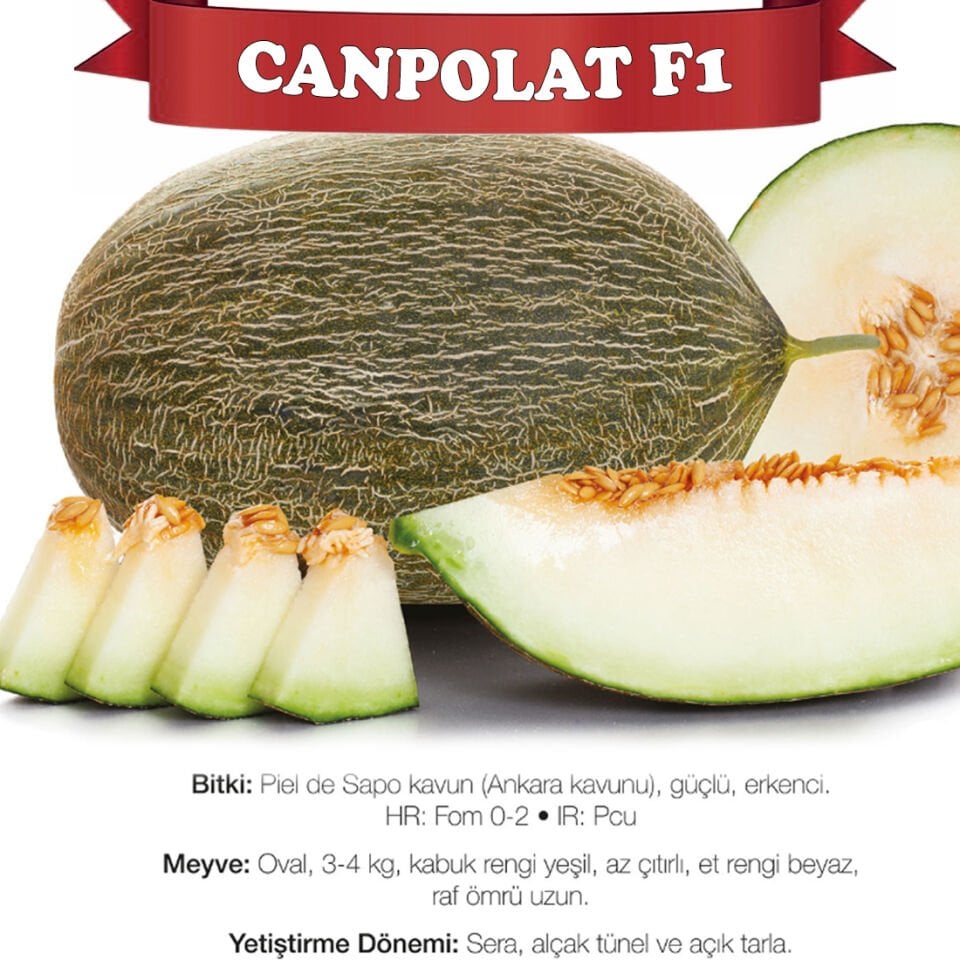 Canpolat F1 Kavun Tohumu