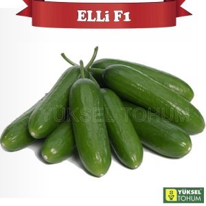 Elli F1 Badem Hıyar Tohumu