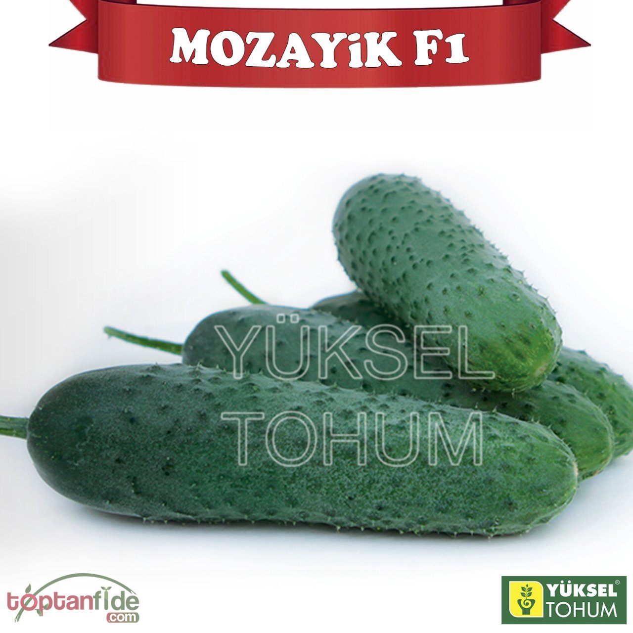 Mozayik F1 Dikenli Hıyar Tohumu