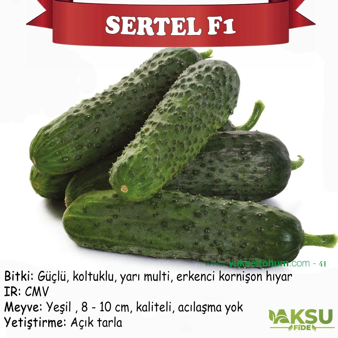 Sertel F1 Dikenli Hıyar Tohumu