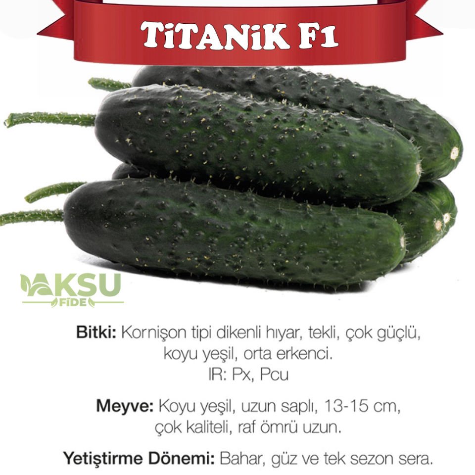 Titanik F1 Dikenli Hıyar Tohumu