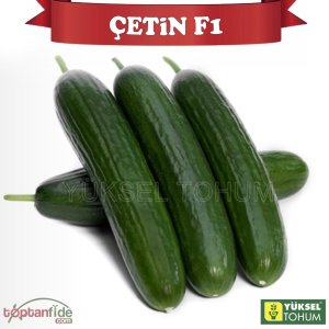 Çetin F1 Uzun Hıyar Tohumu