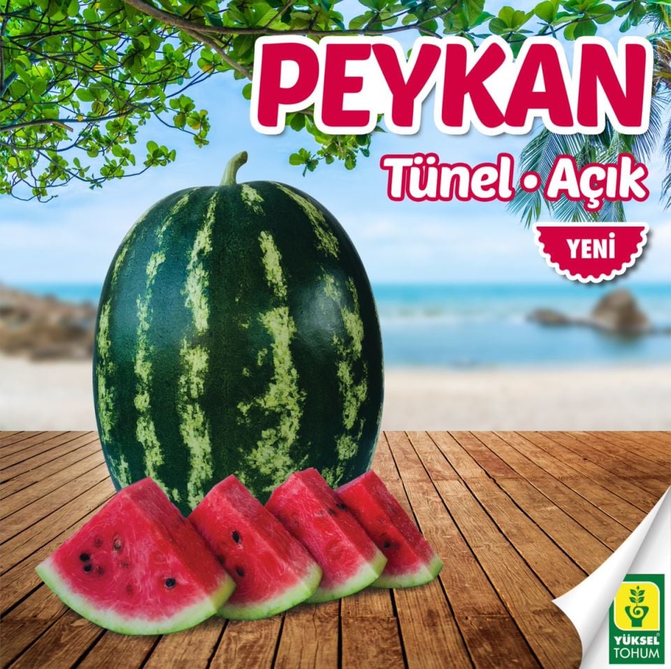 Peykan F1 Crimson Karpuz Tohumu