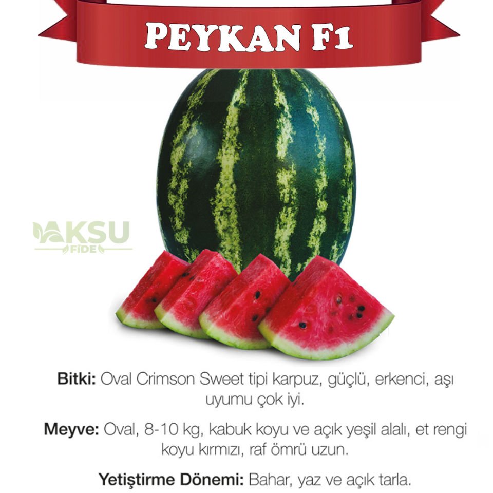Peykan F1 Crimson Karpuz Tohumu