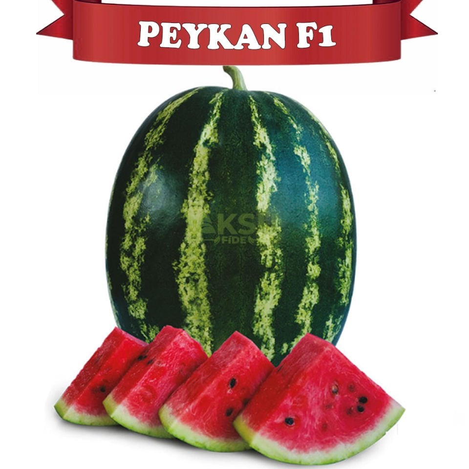 Peykan F1 Crimson Karpuz Tohumu
