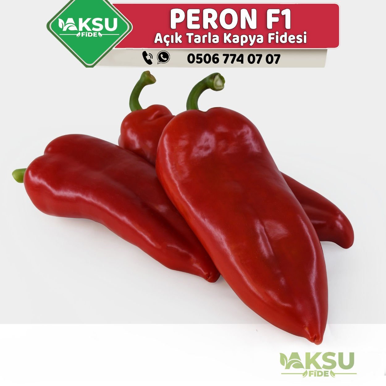 Peron F1 - Çok Erkenci Kapya Biber Fidesi