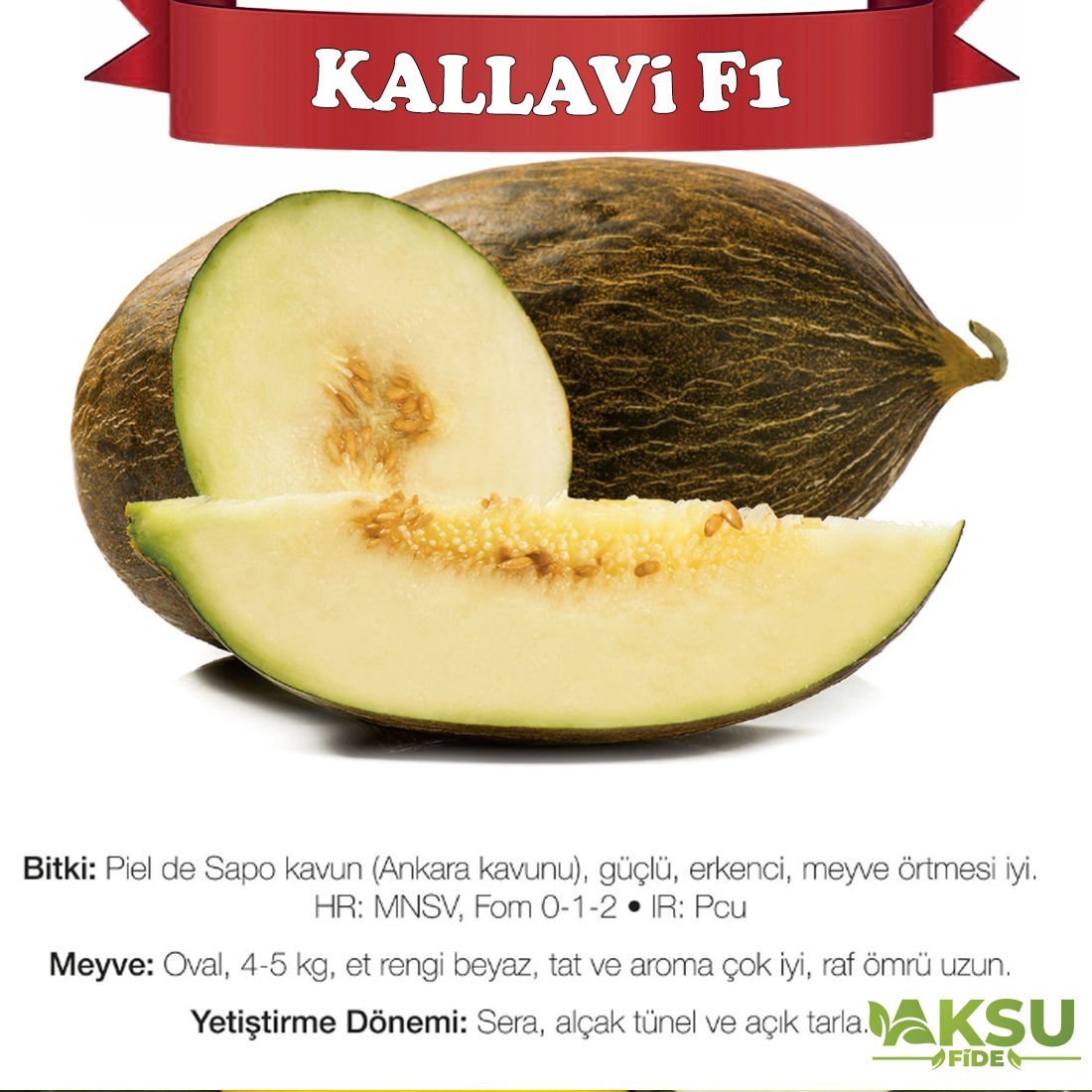 Kallavi F1 Ankara Kavunu Tohumu